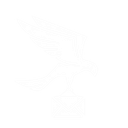 CLNS Logo