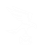 CLNS logo